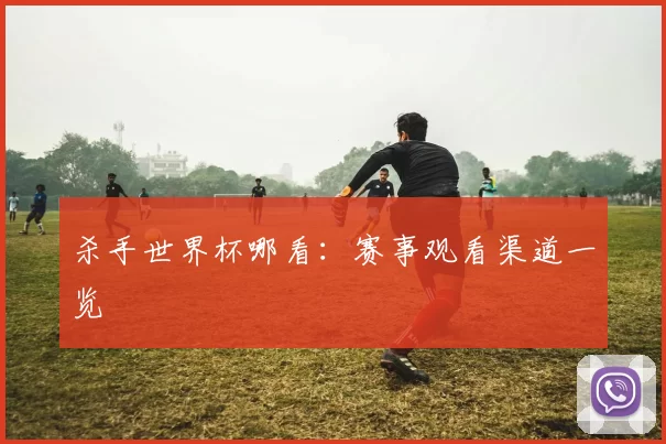 杀手世界杯哪看:赛事观看渠道一览