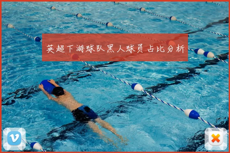 英超下游球队黑人球员占比分析