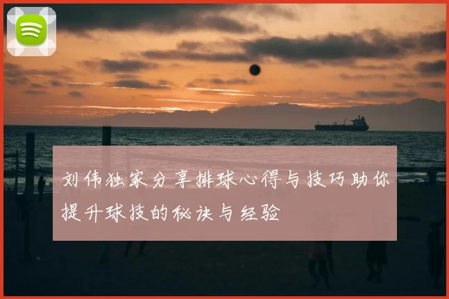 刘伟独家分享排球心得与技巧助你提升球技的秘诀与经验