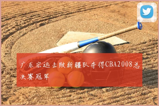广东宏远击败新疆队夺得CBA2008总决赛冠军