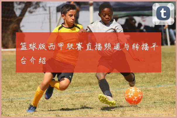 篮球版西甲联赛直播频道与转播平台介绍