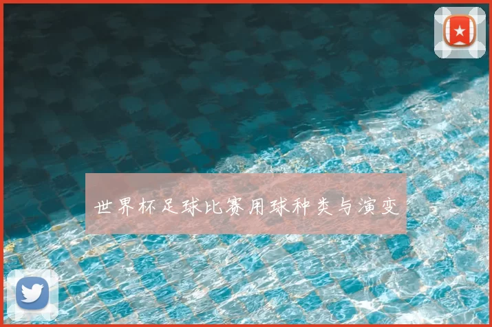 世界杯足球比赛用球种类与演变