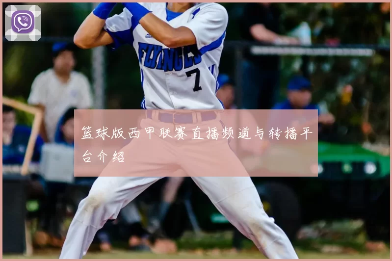 篮球版西甲联赛直播频道与转播平台介绍