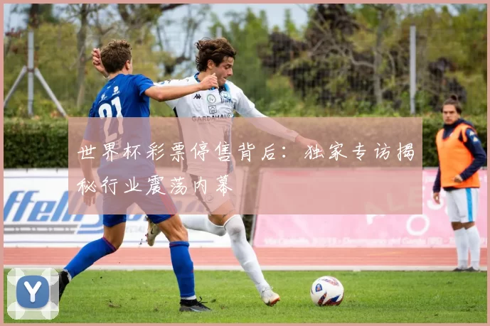 世界杯彩票停售背后:独家专访揭秘行业震荡内幕
