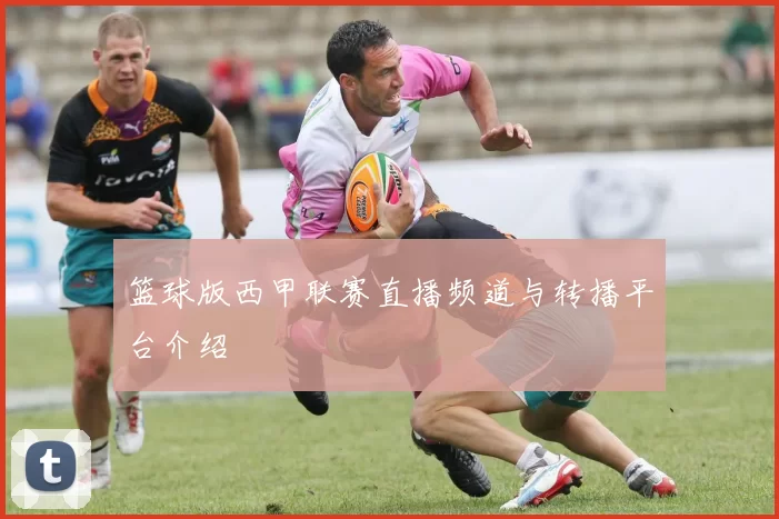 篮球版西甲联赛直播频道与转播平台介绍