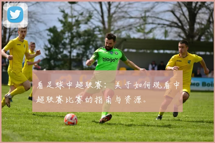 看足球中超联赛：关于如何观看中超联赛比赛的指南与资源。