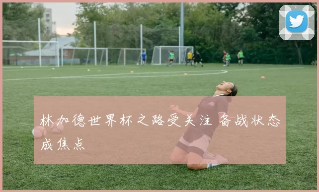 林加德世界杯之路受关注 备战状态成焦点