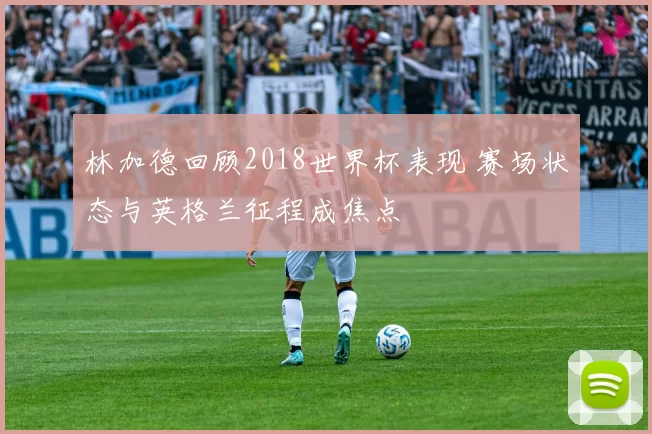林加德回顾2018世界杯表现 赛场状态与英格兰征程成焦点