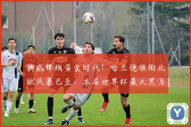 挪威锋线黄金时代！哈兰德领衔北欧风暴已至，本届世界杯最大黑马？