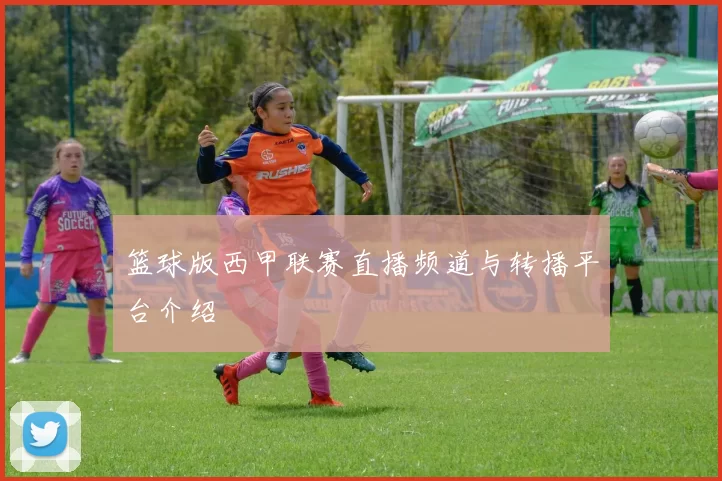 篮球版西甲联赛直播频道与转播平台介绍