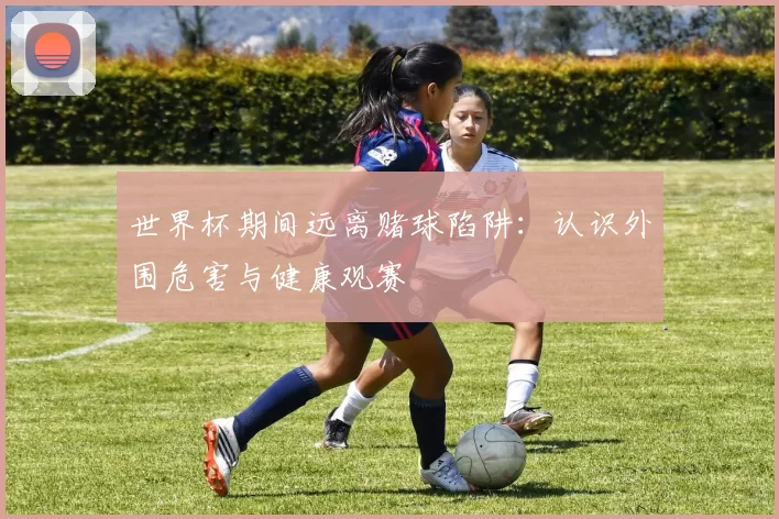 世界杯期间远离赌球陷阱：认识外围危害与健康观赛