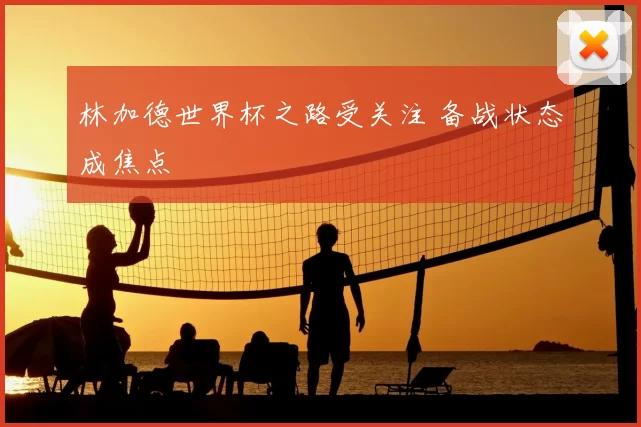 林加德世界杯之路受关注 备战状态成焦点