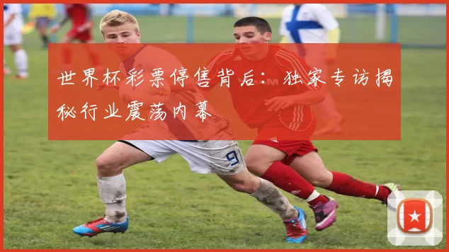 世界杯彩票停售背后：独家专访揭秘行业震荡内幕